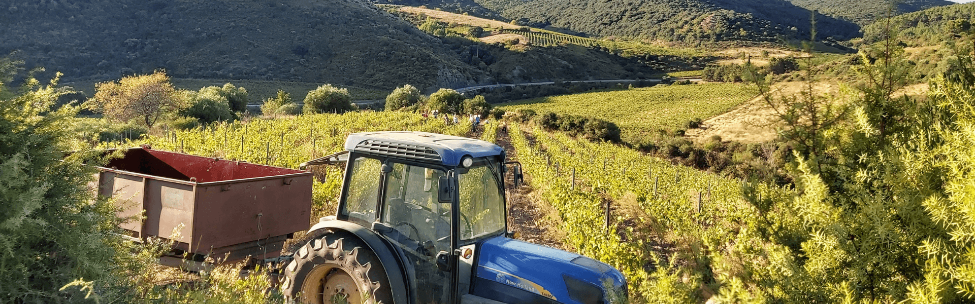 Domaine Lérys