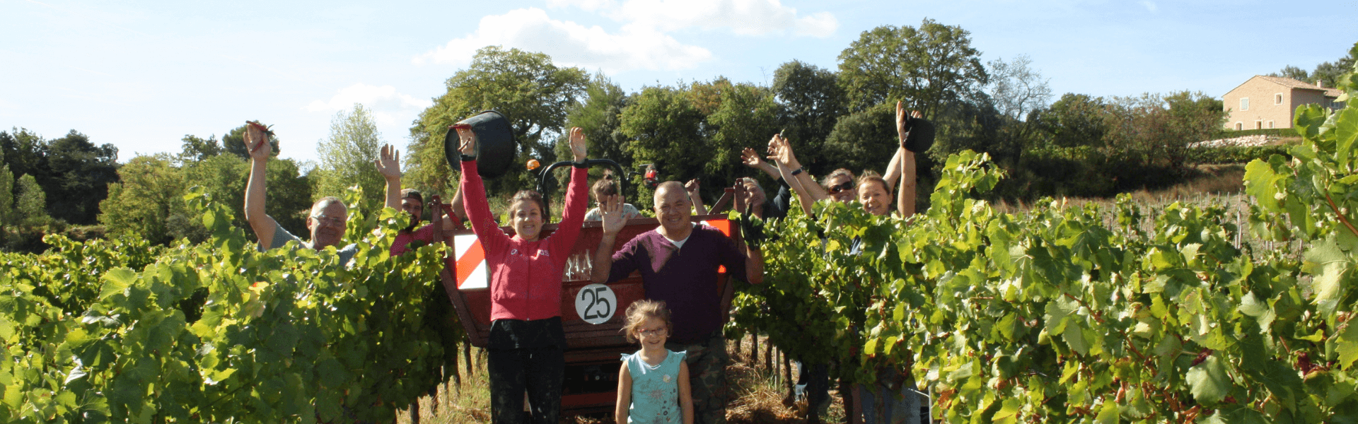 Domaine La Fille des Vignes