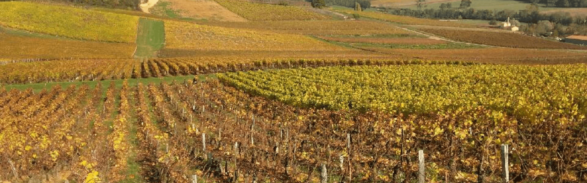 Domaine Julien BESSE