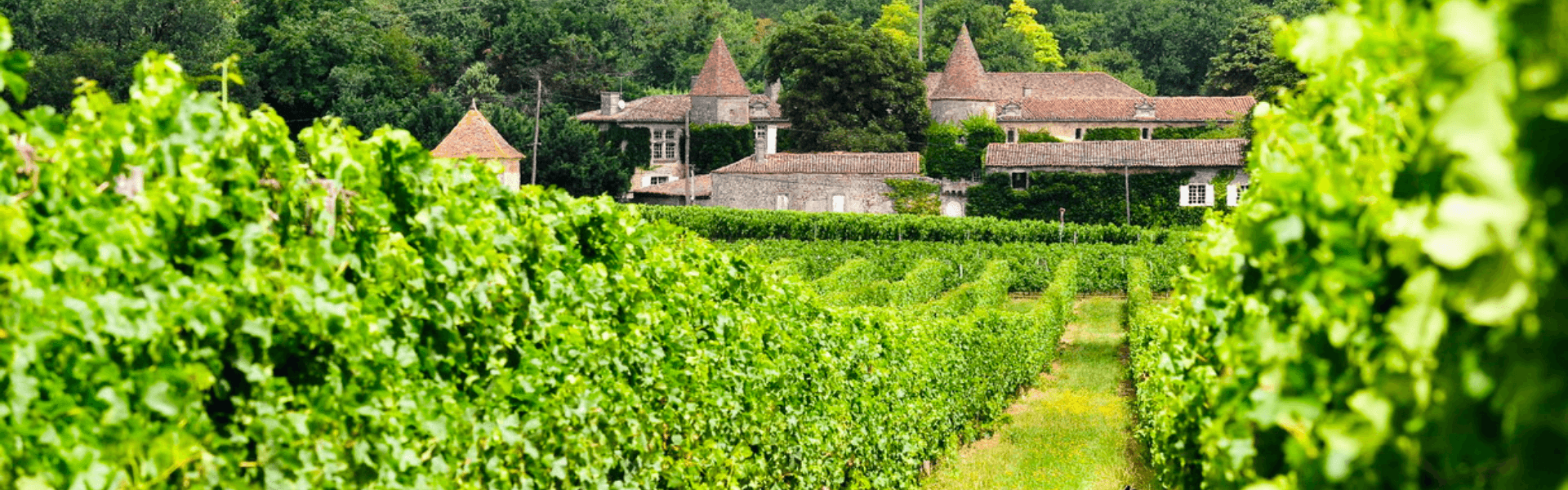 Château Reynier