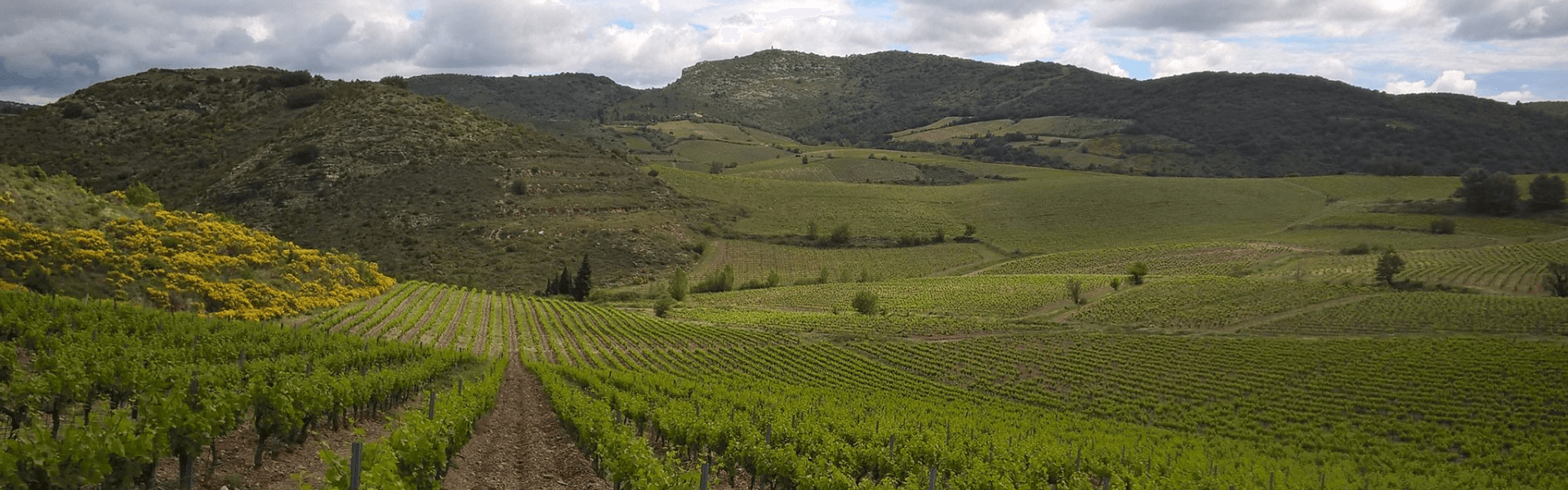 Domaine le Cigalet