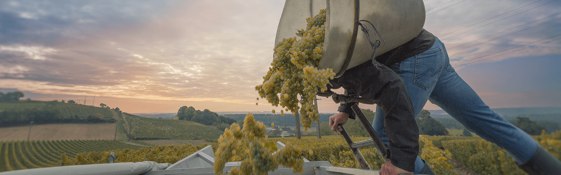 Domaine Pierre et Bertrand Couly