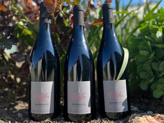 Coffret 3 bouteilles de vin de la loire rouge AOC Bourgueil