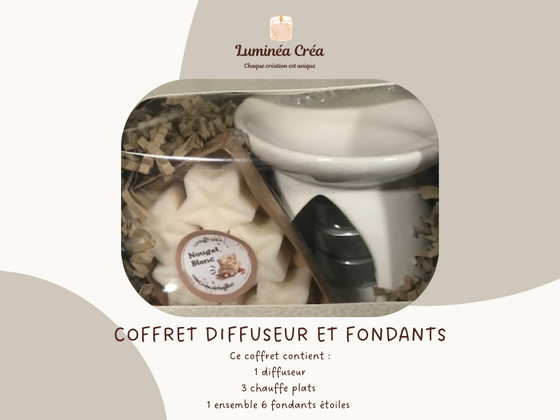 Coffret 1 diffuseur et 1 ensemble fondants parfumés