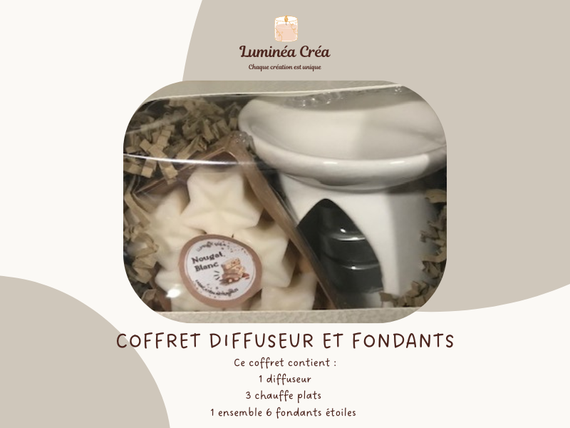 Coffret 1 diffuseur et 1 ensemble fondants parfumés