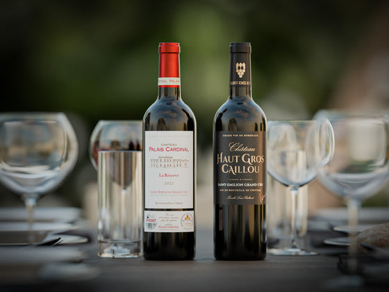 Coffret vin pépites en Saint-Emilion Grand Cru