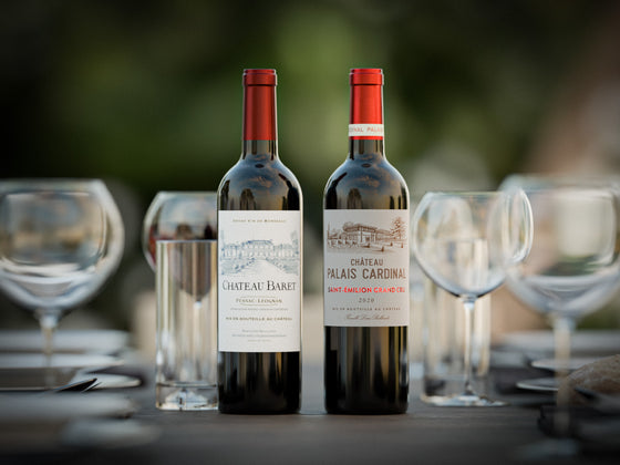 Coffret Saint-Emilion Grand Cru & Pessac-Léognan Rouge