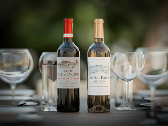 Coffret 2020 Saint-Emilion Grand Cru & Pessac-Léognan Blanc