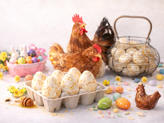 Boîte de 6 Œufs de Nougat Blanc Tendre