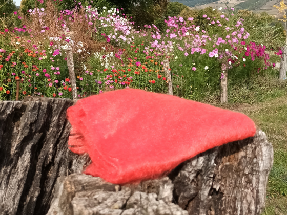 Une écharpe en Mohair