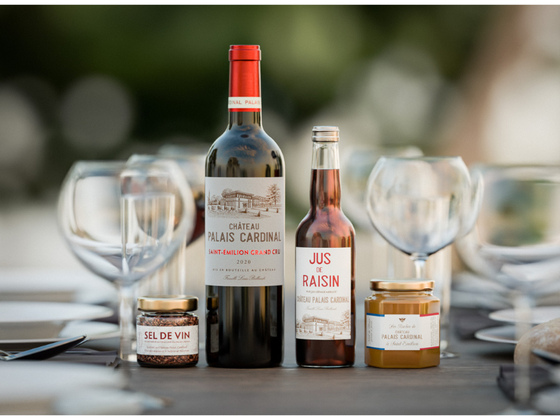 Coffret Saint-Emilion, Miel, jus raisin et sel de vin