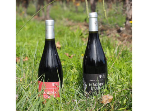 Les Mondes d'Après - 2 bouteilles de vin rouge du Sud Ouest en biodynamie