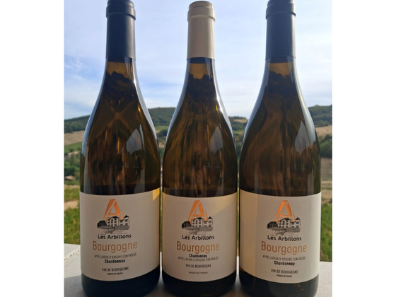 L’essentiel en blanc : 3 bouteilles de Bourgogne Chardonnay