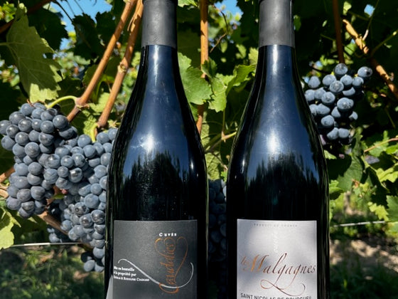 Coffret vin de la Loire 2 bouteilles rouge AOP Bourgueil, Saint Nicolas de Bourgueil