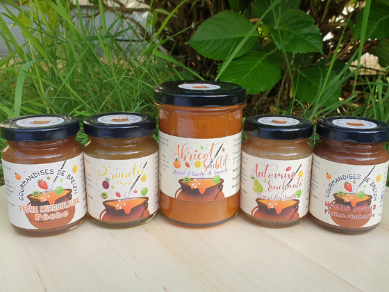 Coffret Plaisirs fruités - 5 Préparations de Fruits