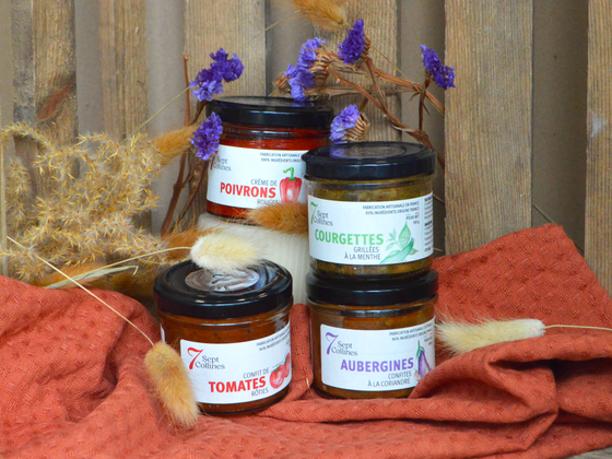 Végétarien : tartinables aux légumes d'été