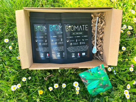 COFFRET VOYAGE MATÉ BIO + PAILLE FILTRANTE OFFERTE (3 SACHETS DE 100G, SAVEURS PERSONNALISABLES)