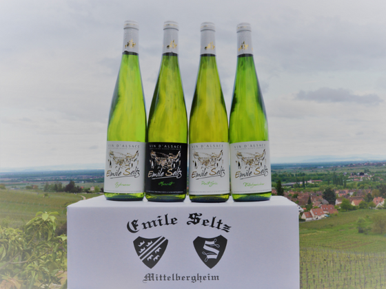 Coffret vin d'Alsace 4 bouteilles de vin blanc