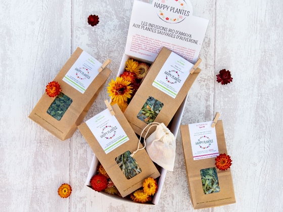 Coffret tisane bio, infusions aux plantes sauvages d'Auvergne