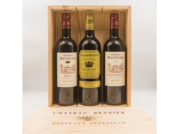 Coffret Prestige Vin Margaux et chocolat - Grand vin de Bordeaux AOC  Margaux et une bouteille en chocolat de notre Maître artisan chocolatier de  Bordeaux - bel emballage prêt à offrir 