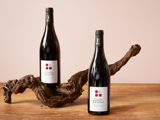 Coffret vin du Rhône BIO 2 bouteilles rouge AOC Côtes-du-Rhône Villages Visan