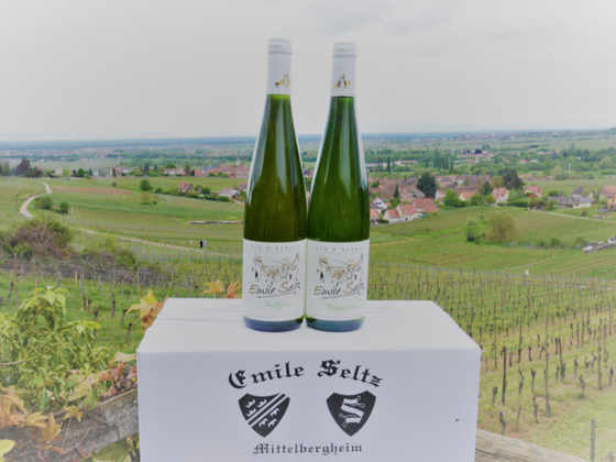 Coffret vin d'Alsace 2 bouteilles de vin blanc