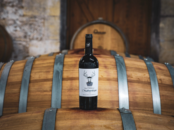 Coffret vin Côtes de Bordeaux 6 bouteilles rouge