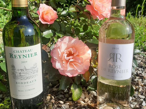 COFFRET DEUX COULEURS ET BIO 2 BOUTEILLES blanc et rosé AOC Bordeaux