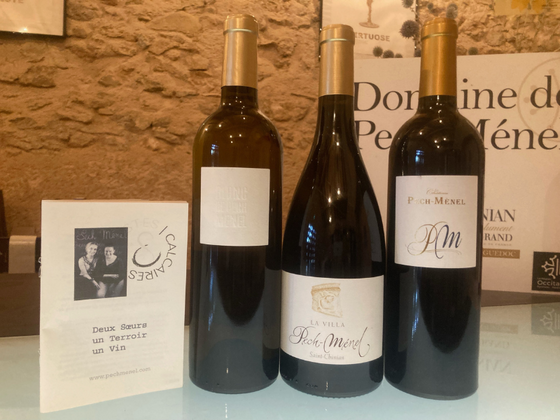 Coffret vin du Languedoc 3 bouteilles rouge et blanc AOC Saint Chinian