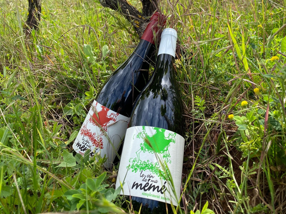 Coffret vin du Beaujolais 2 bouteilles rouge et blanc AOC Beaujolais