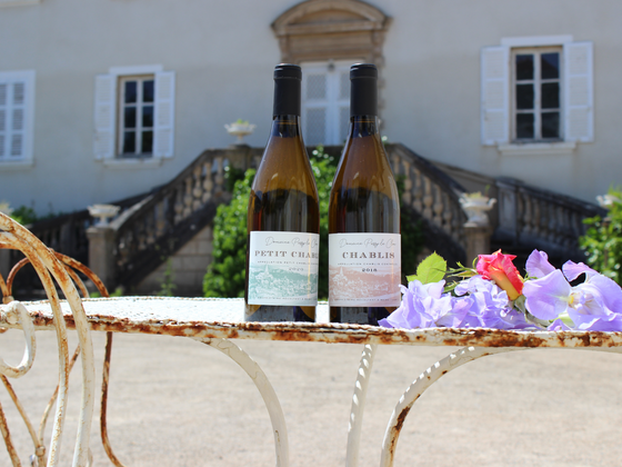 Coffret vin de Bourgogne 2 bouteilles blanc AOC Petit Chablis, Chablis