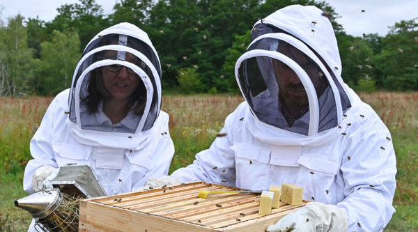 Comment se fabrique le miel artisanal ?