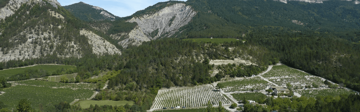 Domaine Long