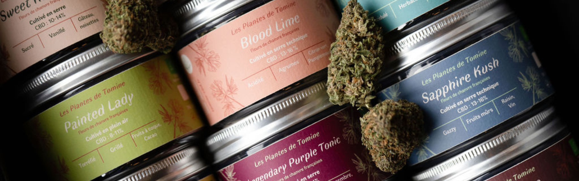 Les Plantes de Tomine