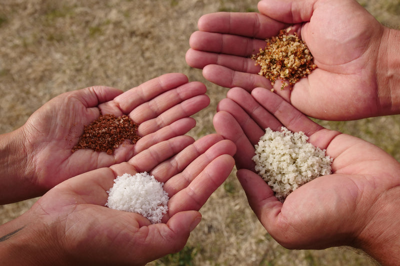 Coffret de Noël Fleur de sel et sel aromatisé