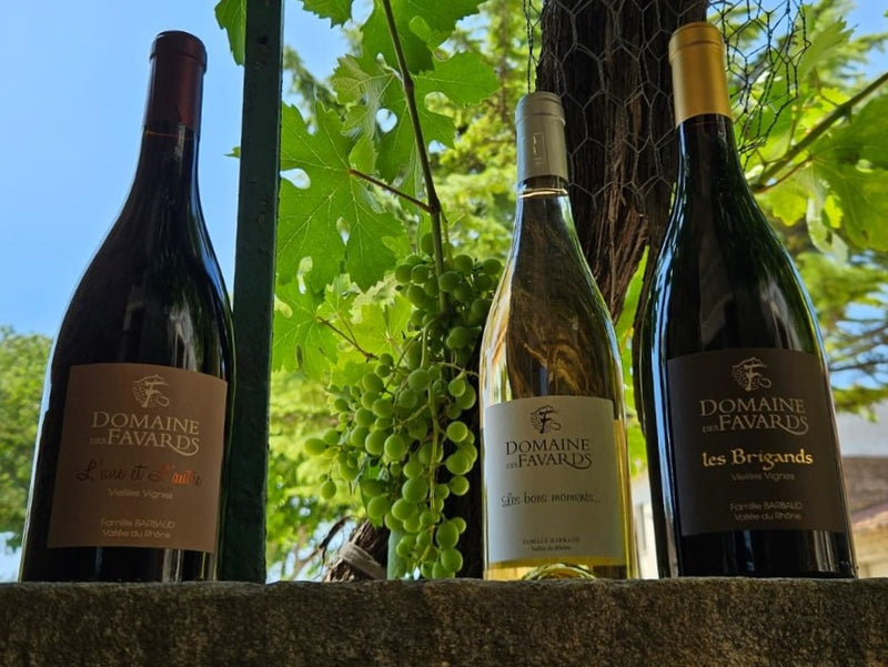 COFFRET VIN DU RHÔNE BIO 3 BOUTEILLES BLANC/ROUGE AOC CÔTES-DU-RHÔNE, CÔTES-DU-RHÔNE VILLAGES