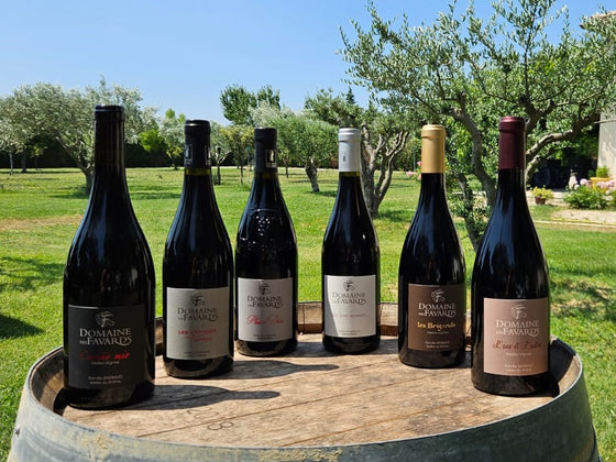 Coffret vin du Rhône BIO 6 bouteilles rouge AOC Côtes-du-Rhône, Côtes-du-Rhône Villages