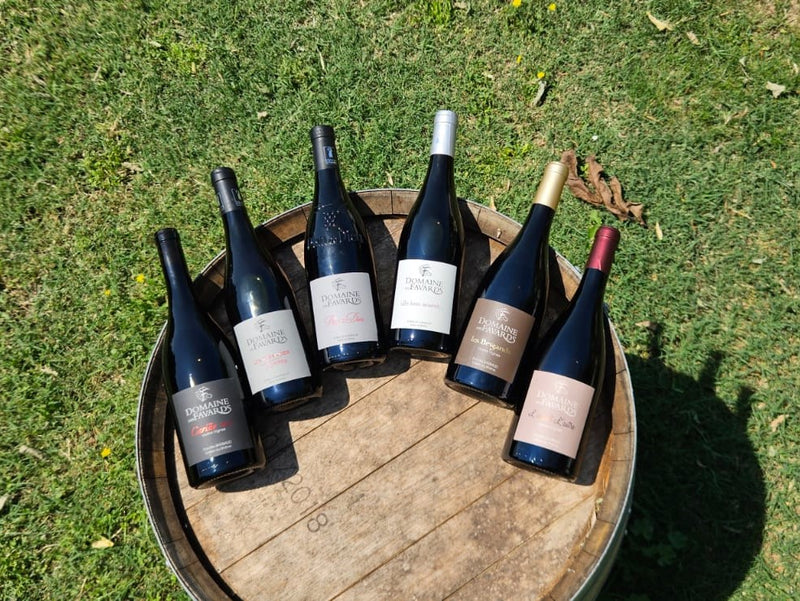 Coffret vin du Rhône BIO 6 bouteilles rouge AOC Côtes-du-Rhône, Côtes-du-Rhône Villages