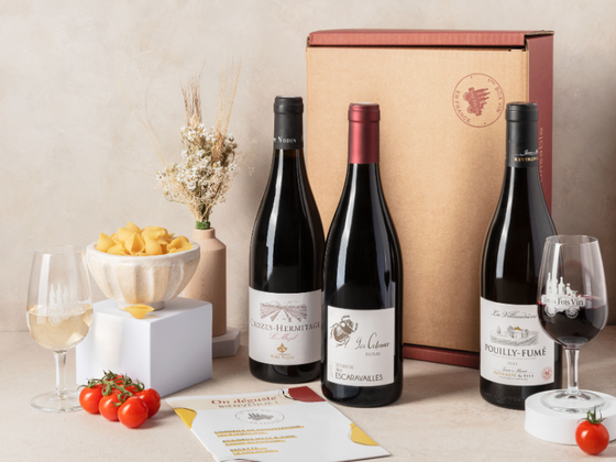 Coffret 3 grands vins et livret de dégustation