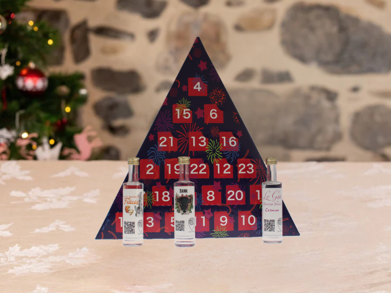 Calendrier de l'Avent Gin Français 2025