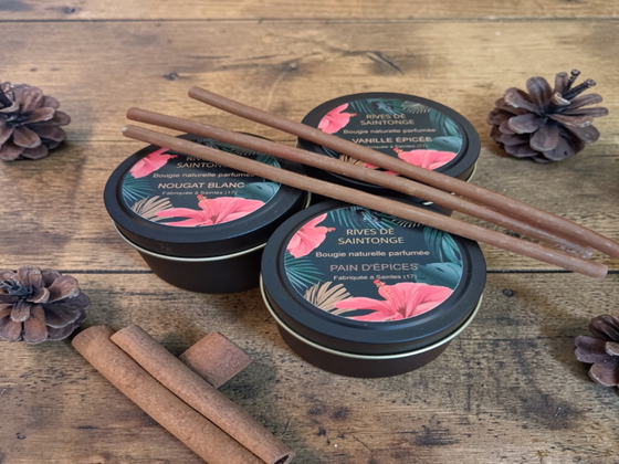 Bougies Douceur d'hiver