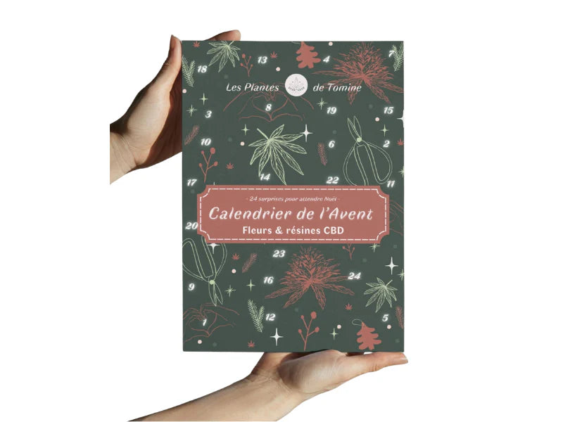 Calendrier de l'Avent les plantes de Tomine
