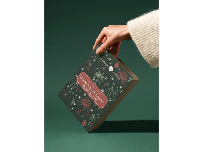 Calendrier de l'Avent les plantes de Tomine