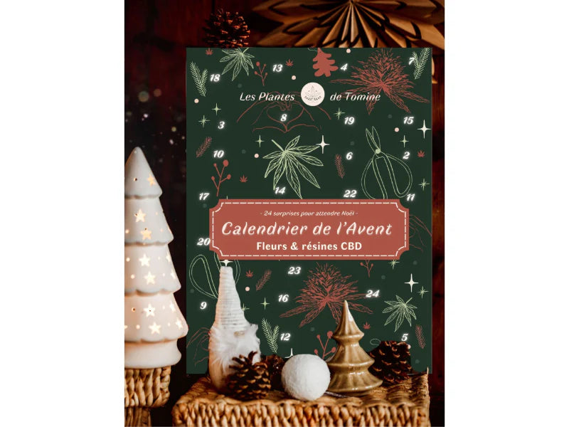 Calendrier de l'Avent les plantes de Tomine