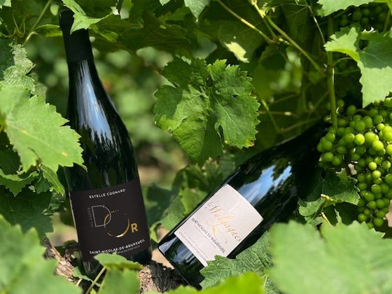 Coffret vin de la Loire 2 bouteilles Saint Nicolas de Bourgueil