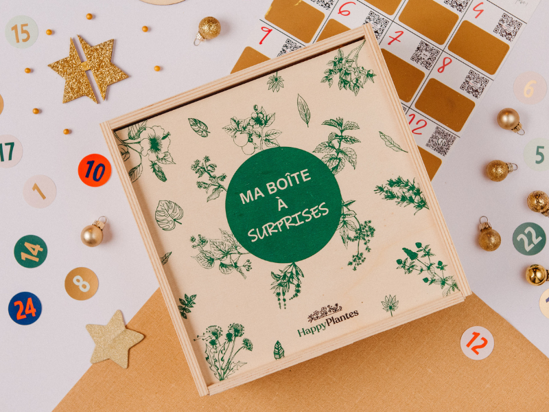 Calendrier de l'Avent Tisanes et Gourmandises 2025