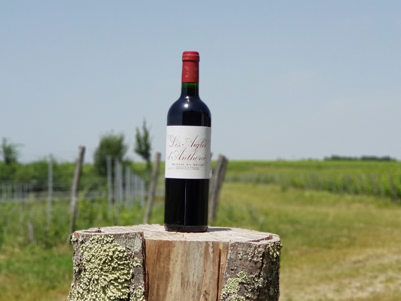 Coffret vin de Bordeaux 1 bouteille rouge AOC Moulis-en-Médoc