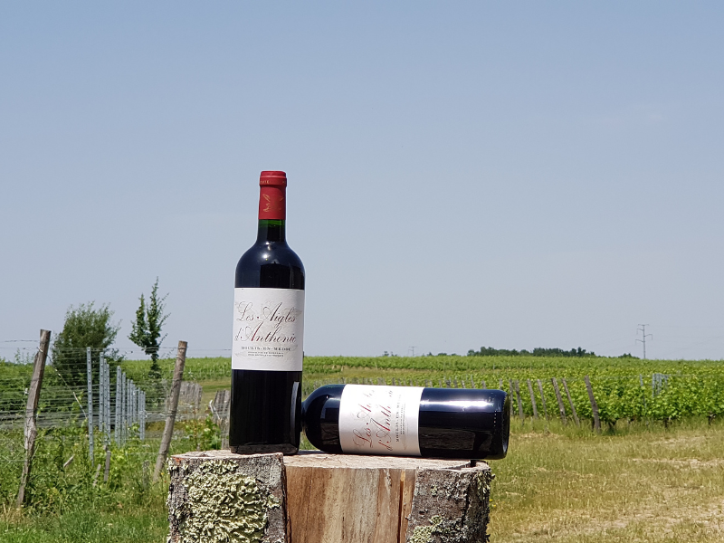 Coffret vin de Bordeaux 2 bouteilles rouge AOC Moulis-en-Médoc