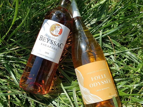 Coffret vin du Sud-Ouest 2 bouteilles Blanc et Rosé