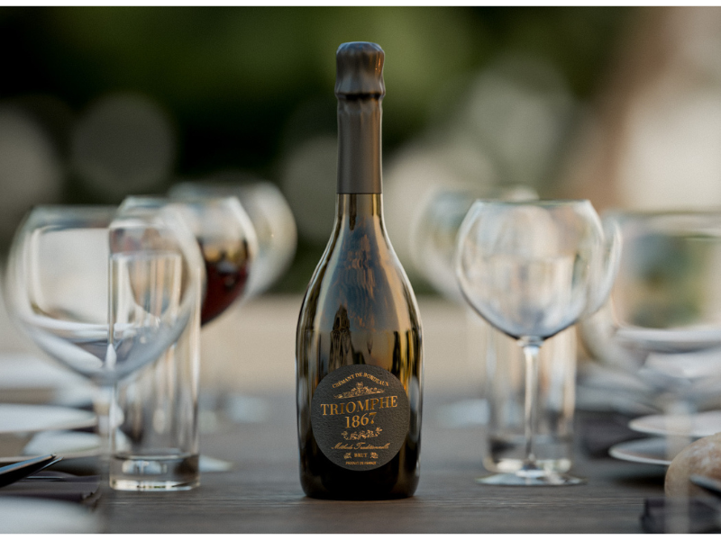 Coffret 2 crémants et 1 jus de raisin à mélanger (kit Kir bordelais)